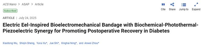 南京大学ACSNano：电鳗启发智能绷带问世促进糖尿病术后恢复(图1)