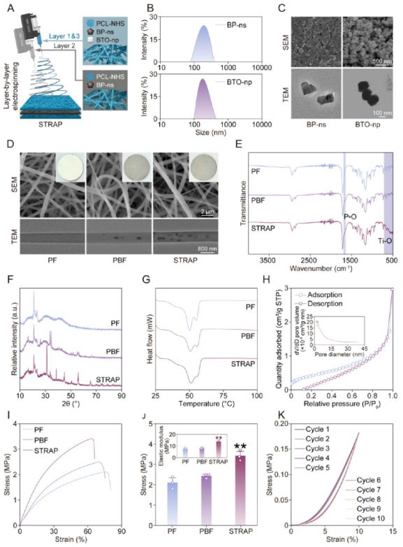 南京大学ACSNano：电鳗启发智能绷带问世促进糖尿病术后恢复(图4)