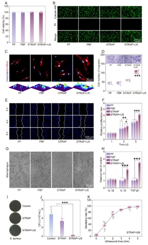 南京大学ACSNano：电鳗启发智能绷带问世促进糖尿病术后恢复(图6)