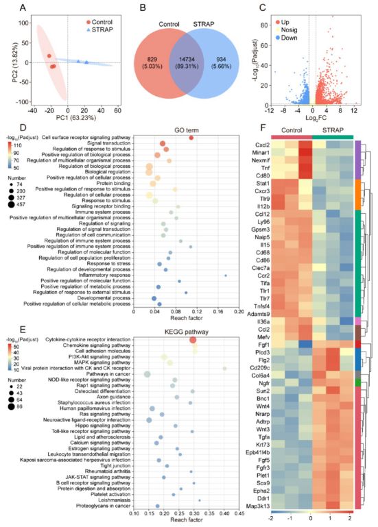 南京大学ACSNano：电鳗启发智能绷带问世促进糖尿病术后恢复(图8)
