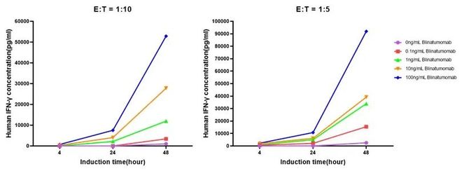 实体瘤、自免双拓局：TCE药物体外功能学评价策略(图8)