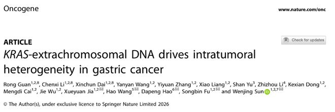 Oncogene丨KRAS-ecDNA助力胃癌恶性进展为精准治疗提供新方向(图1)