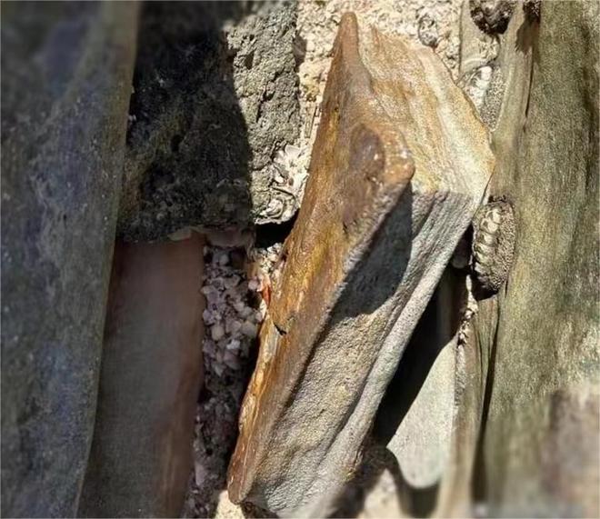 3亿年前的一本古书让科学家集体沉默：它究竟来自哪？(图3)