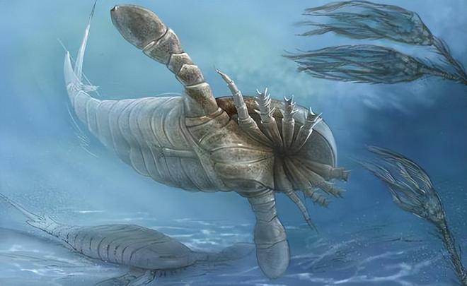 3亿年前的一本古书让科学家集体沉默：它究竟来自哪？(图5)