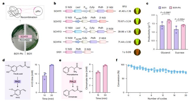 《顶刊精读》NatSustain太阳能驱动从富含亚磷酸盐的废水中生物合成化学物质与二氧化碳(图5)