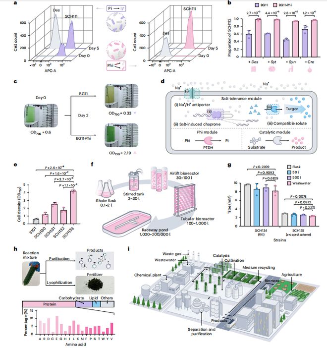 《顶刊精读》NatSustain太阳能驱动从富含亚磷酸盐的废水中生物合成化学物质与二氧化碳(图7)