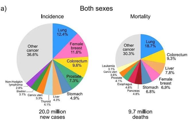 全球最新癌症统计报告出炉！185个国家、36种癌症的发病率和死亡率(图4)